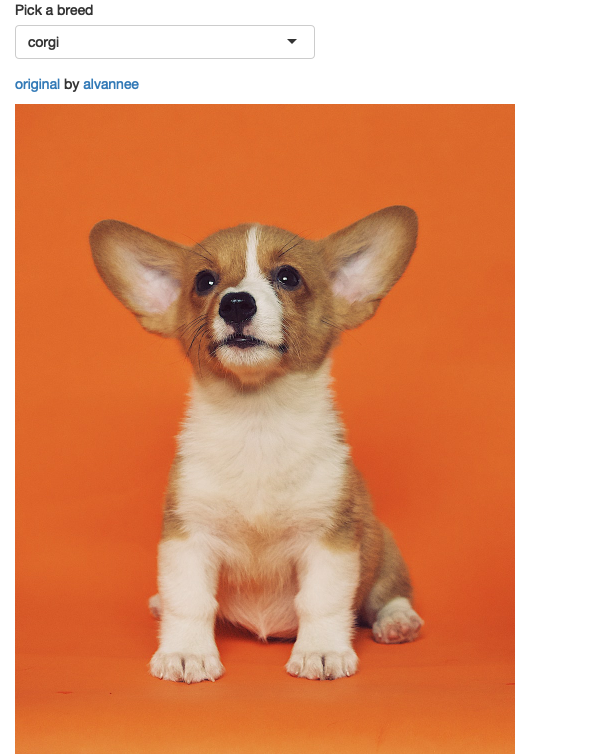 An app that displays cute pictures of puppies using `renderImage()`. See live at <https://hadley.shinyapps.io/ms-puppies>.