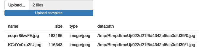 This simple app lets you see exactly what data Shiny provides to you for uploaded files. See live at <https://hadley.shinyapps.io/ms-upload>.