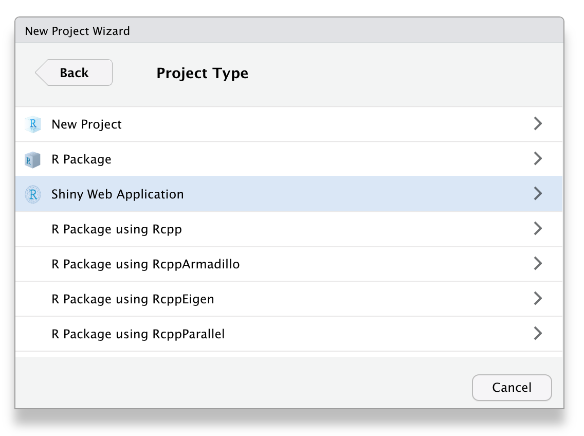 To create a new Shiny app within RStudio, choose 'Shiny Web Application' as project type